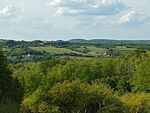 Panoráma