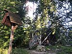 IMG_1590