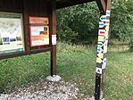 IMG_1593