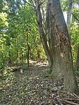 IMG_20250921_122624