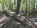 IMG_20250921_122830
