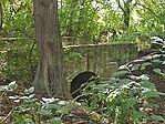 IMG_20250921_123038