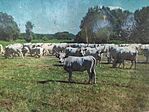 IMG_20250921_124547