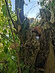 IMG_20250922_161922