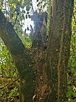 IMG_20250922_161918