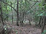 IMG_20250925_174755