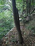 IMG_20250925_175645