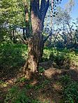 IMG_20250920_125816