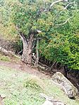 IMG_20250928_132301