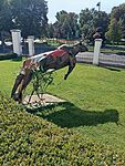 IMG_20250903_093206