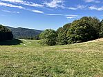 IMG_2959(1)
