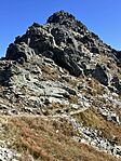 IMG_2916(1)
