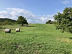 IMG_2704(1)