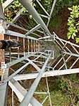 IMG_2712(1)