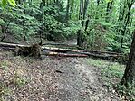 IMG_2714(1)