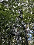 IMG_2708(1)