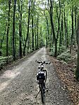 IMG_2715(1)