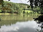 IMG_2718(1)