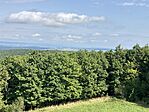 IMG_2725(1)