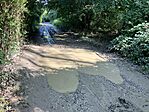 IMG_2727(1)