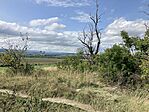 IMG_2732(1)