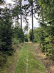 IMG_2750(1)