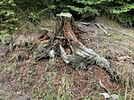 IMG_2751(1)