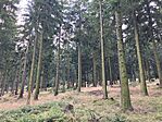 IMG_2759(1)