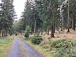 IMG_2760(1)