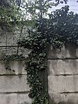 IMG_20250914_170858