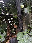 IMG_20250914_170903