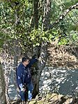IMG_5639