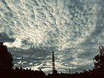 IMG_4293
