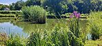 IMG_20250718_110415