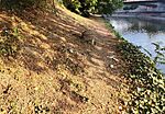 IMG_20250918_193654