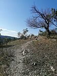 IMG_20250906_155847