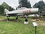 IMG_7775