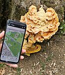 Messenger_creation_068029D5-2673-4EB9-BDB3-7ADCDED54145