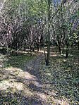 IMG_9775