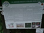 P1160005