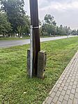 IMG_2498