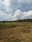 IMG_20250816_121225