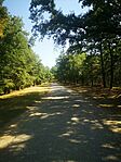 IMG_20250816_101648