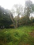 IMG_20250913_064845