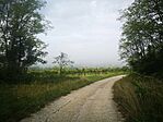 IMG_20250913_071322