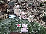 IMG_20250920_132858