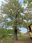 IMG_20250906_122029