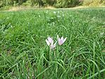 IMG_20250923_151840