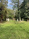 IMG_8682