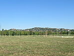 IMG_9362